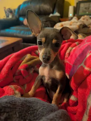 Astro