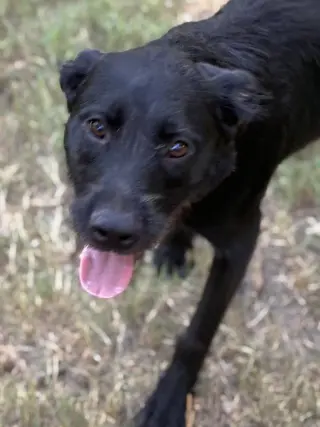Millie