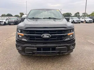 Ford F-150 2024 4x4 XLT 4dr SuperCrew 6.5 ft. SB