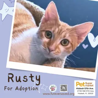 Rusty