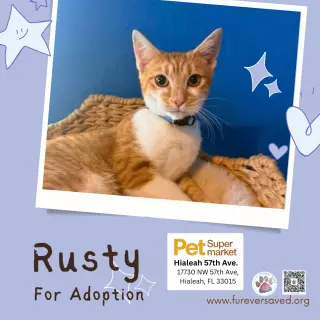 Rusty