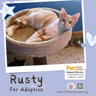 Rusty