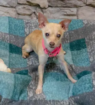 Milly