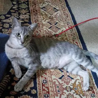Luna #begs-for-kisses