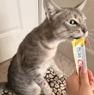Luna #begs-for-kisses