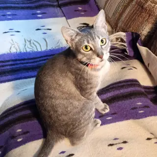 Luna #begs-for-kisses