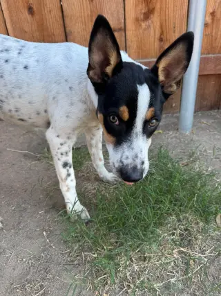 Luna