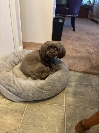 Baby