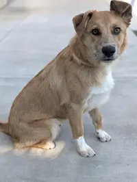 Cosmo
