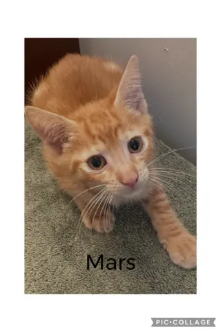Mars