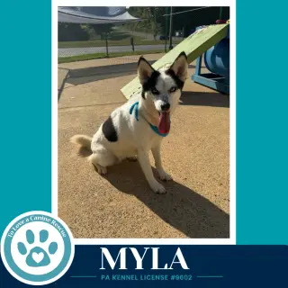 Myla 100326