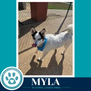 Myla 100326