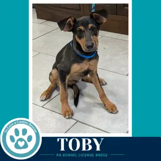 Toby 100326