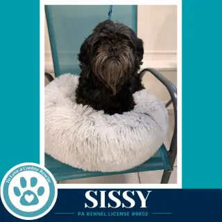 Sissy 100326