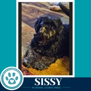 Sissy 100326