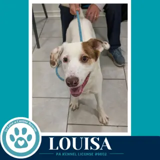 Louisa 100326