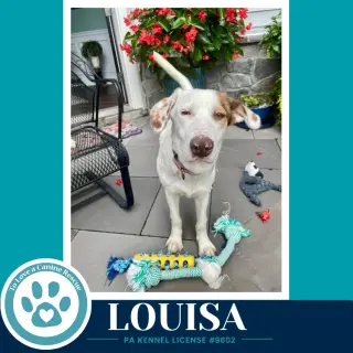 Louisa 100326
