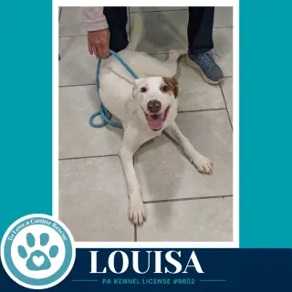 Louisa 100326