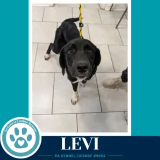 Levi (The L Train) 100326