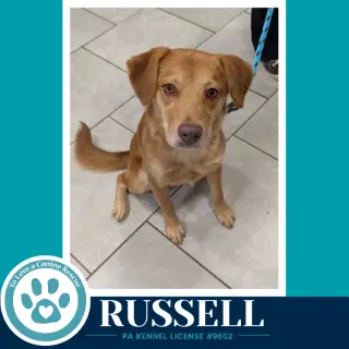 Russell 100326