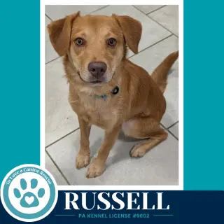 Russell 100326