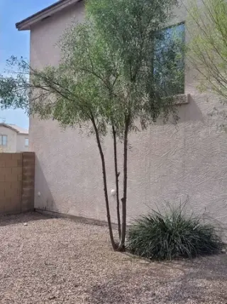 🌵 JARDINERIA EN GENERAL 🌵