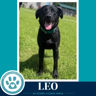 Leo (The L Train) 100326
