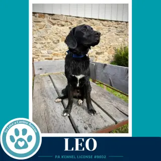 Leo (The L Train) 100326