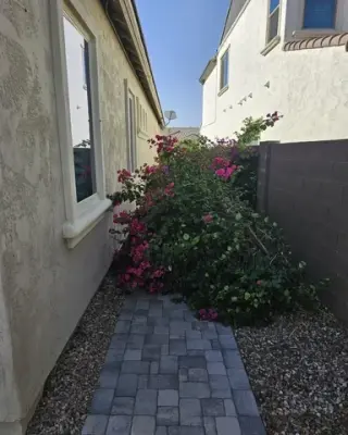 Premium Lawn Care