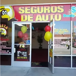 SEGURO DE AUTO
