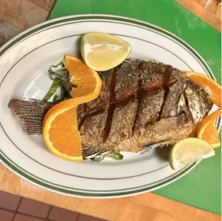 ¡Auténtico Sabor a México!🌮
