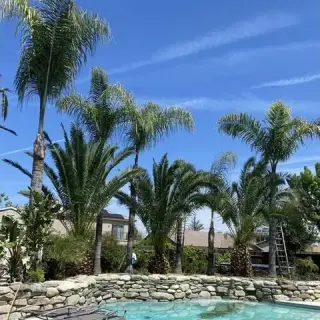 Expert Tree & Junk Removal
