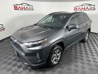 Toyota RAV4 2024