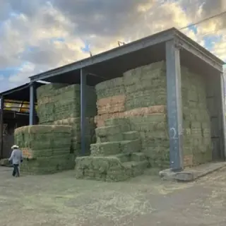 Artículos de Charrería