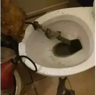 Jose's Plumbing