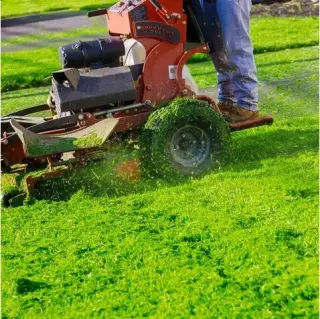 Cuidado de Jardines