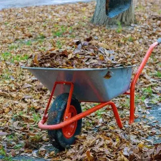 Cuidado de Jardines