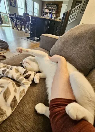 SMUDGE