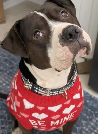 Rilo Gravy