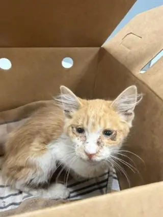 JERRY