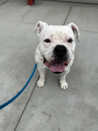 Zoey