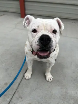 Zoey