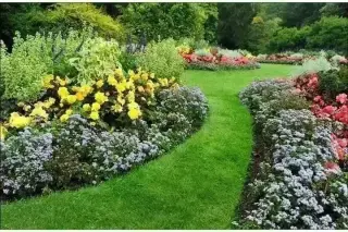 YA NO PAGUE JARDINERO MES/MES