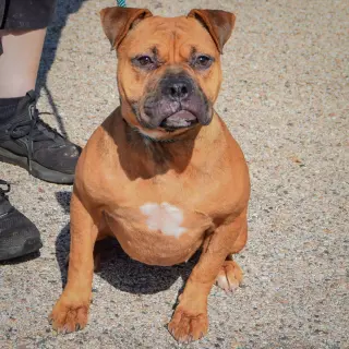 Lola