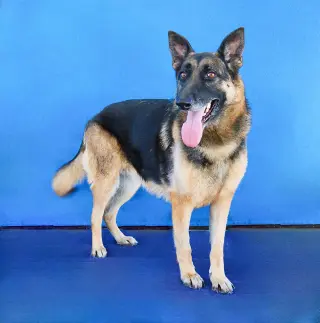 KERA