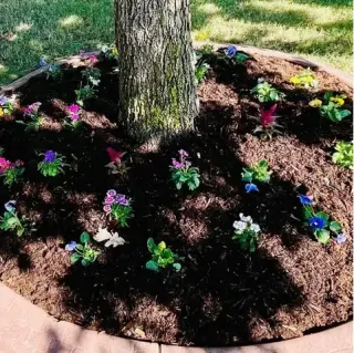 Landscaping Services