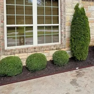 Landscaping Services