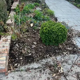 Landscaping Services
