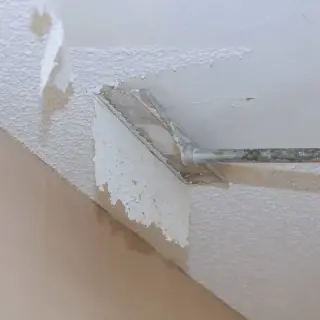 Expert Painting