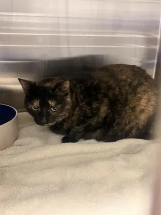 BOO